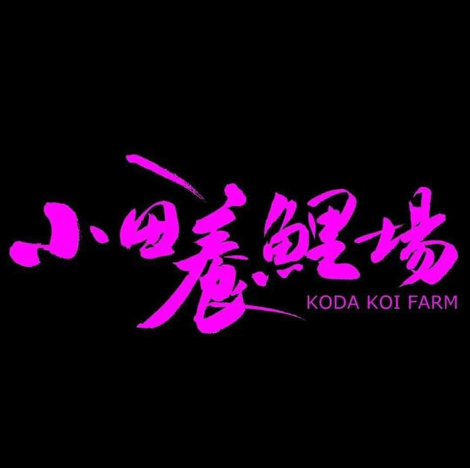 Koda Koi Farm
