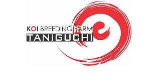 Taniguchi Koi Farm