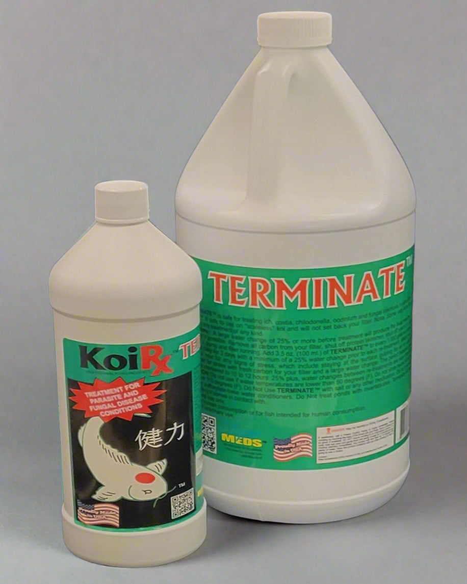 AquaMeds KoiRX Terminate