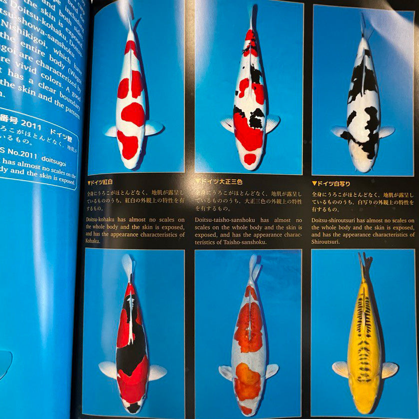 Koi Variety Booklet