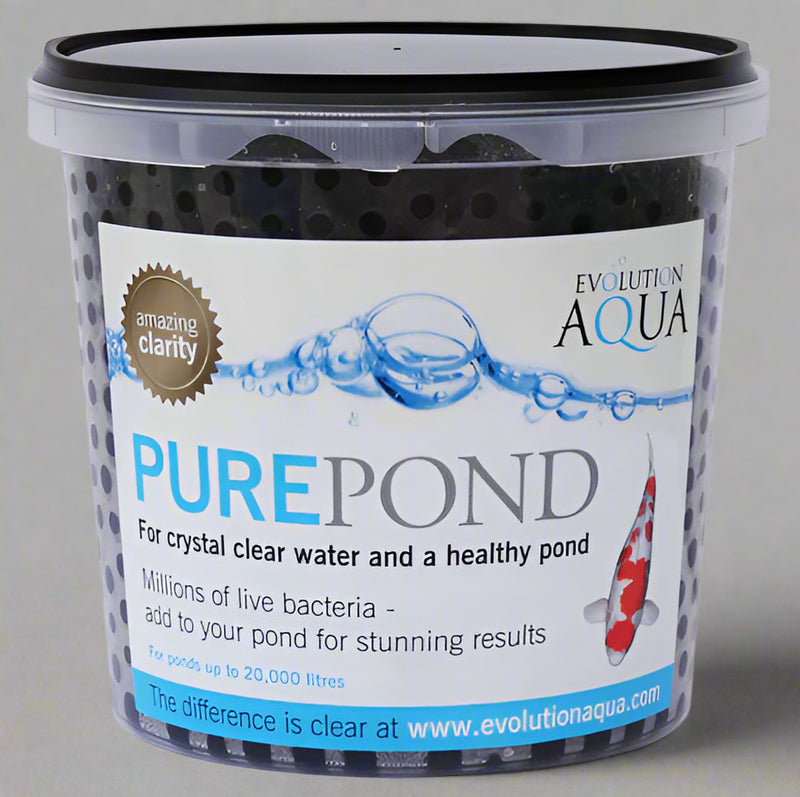 Pure Pond