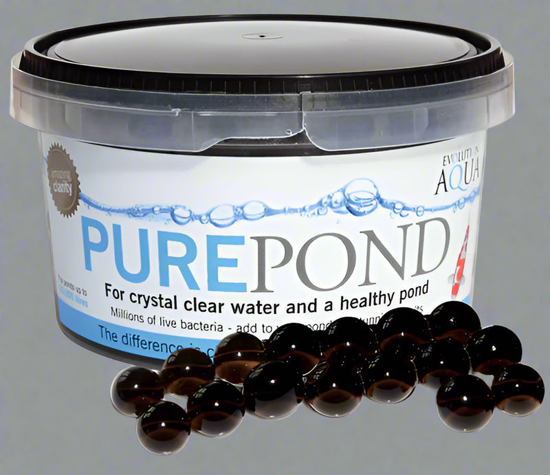Pure Pond