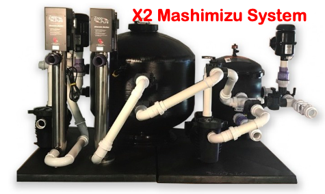 X2 Mashimizu Pond Filtration System